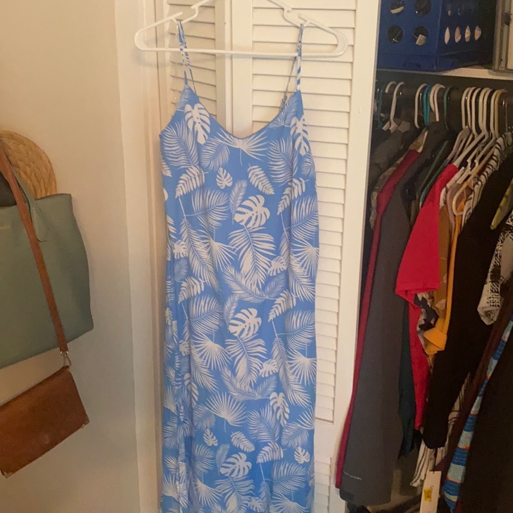 Pink lily blue dress